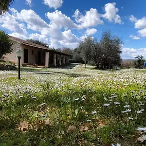 agriturismo-bio-pian-dei-casali.it-tuscanyhotel.com/